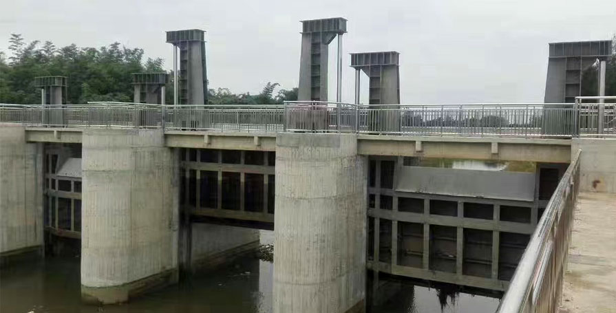 ���]�C�l�T�S��